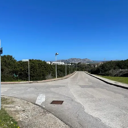 Uno Sguardo Sulla Pelosa *
